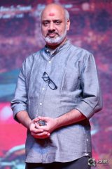 Nenu Sailaja Movie Audio Launch